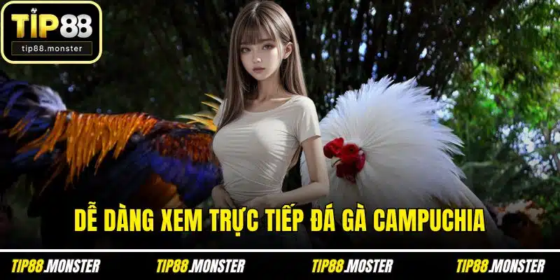 Dễ dàng xem trực tiếp đá gà Campuchia