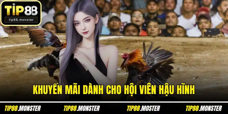 Khuyến mãi dành cho hội viên hậu hĩnh